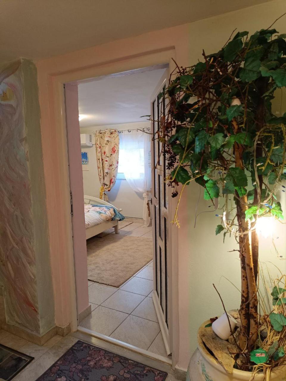 Maria Guesthouse Аліверіон Номер фото