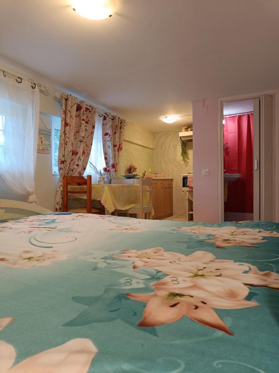 Maria Guesthouse Аліверіон Номер фото